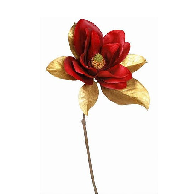 Winward Golden Rouge Magnolia Bloom