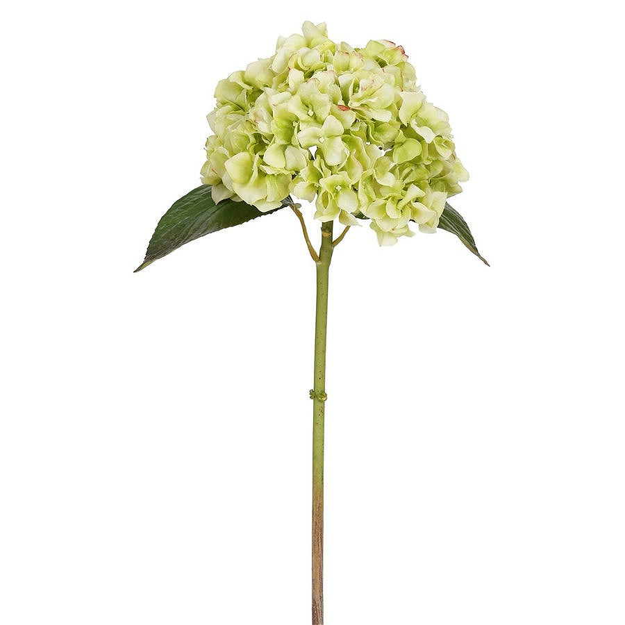 Winward Christmas Light Green Hydrangea Artificial Stem