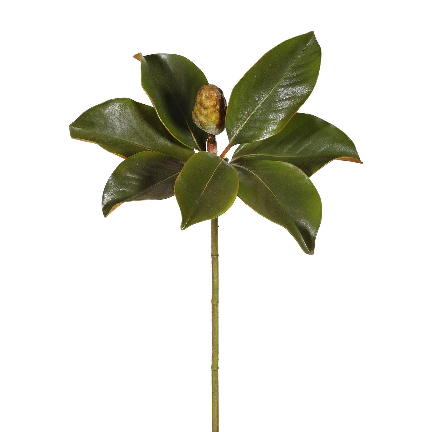 Winward Silks Estate Magnolia Bud Foliage