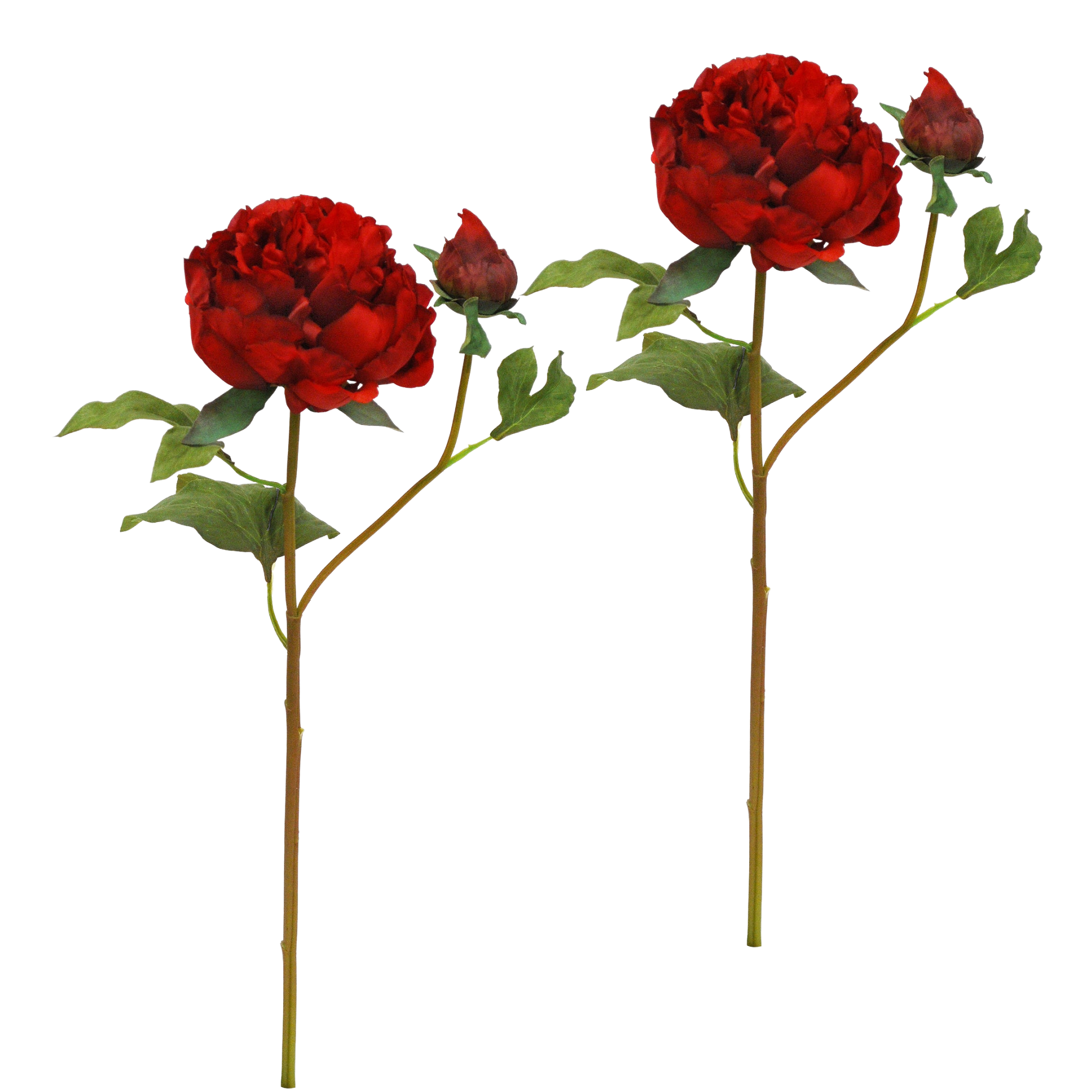 Winward Silks Rouge Red Peony With Bud