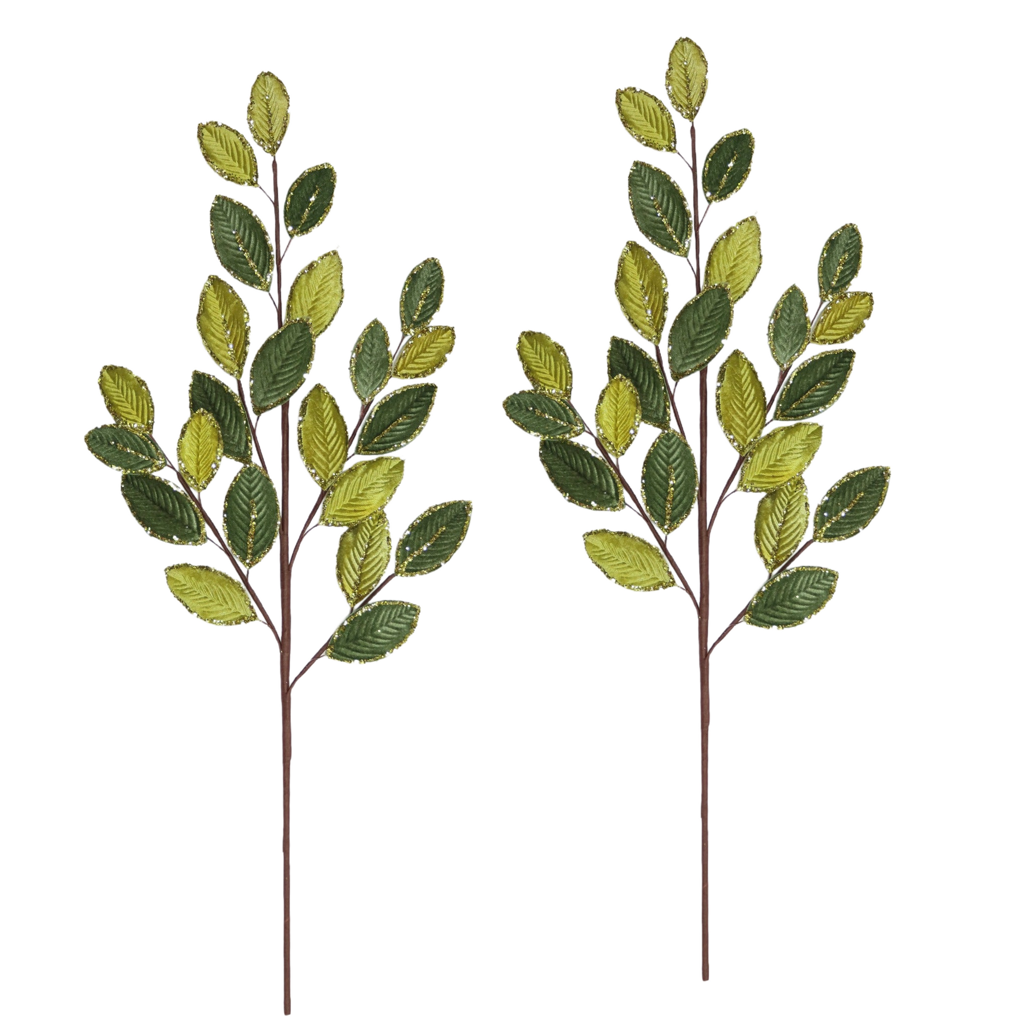 Winward Silks Eliagnus Spray Permanent Botanical