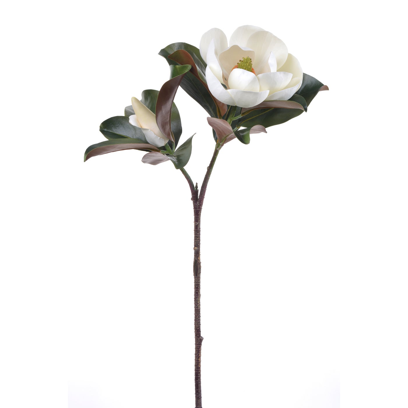 Winward Radiance Magnolia Bloom 31"