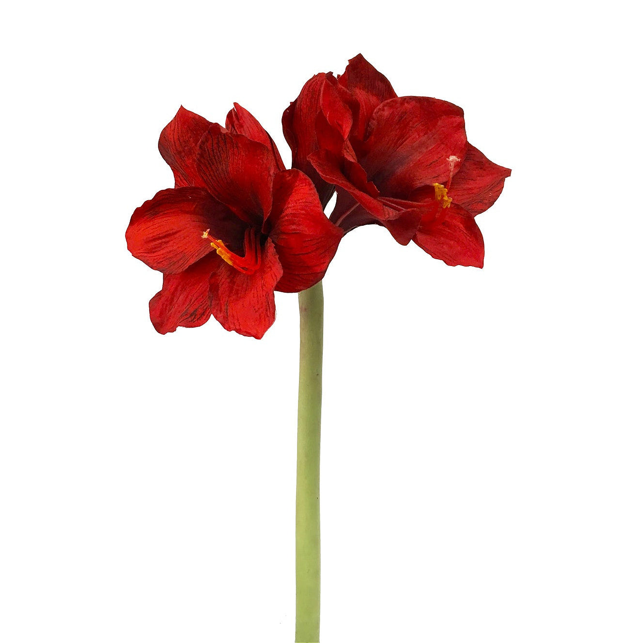 Winward Silks Velvet Royale Amaryllis Stem