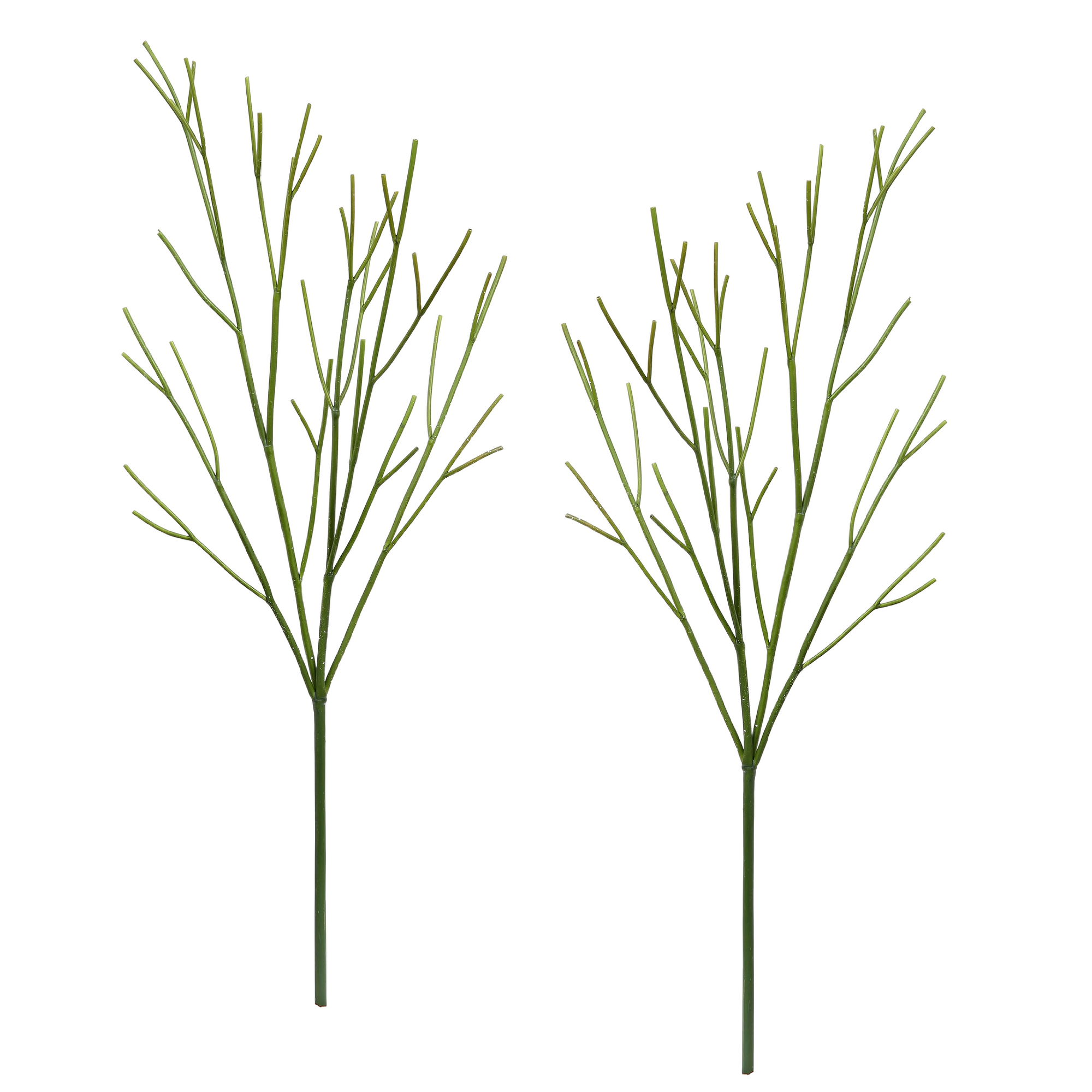 Winward Silks Winter Cornus Twig Branch
Permanent Botanical