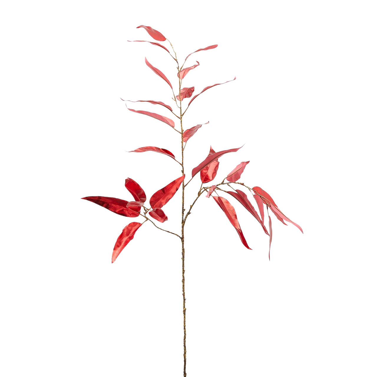 EDG Eucalyptus Metallic Red Foliage Stem