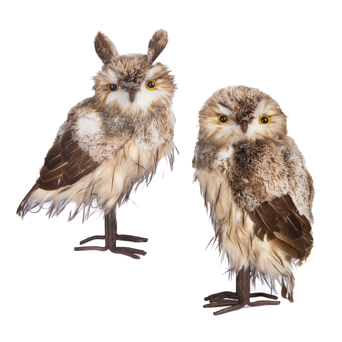 Goodwill Belgium Enchanted Forest Owl Couple