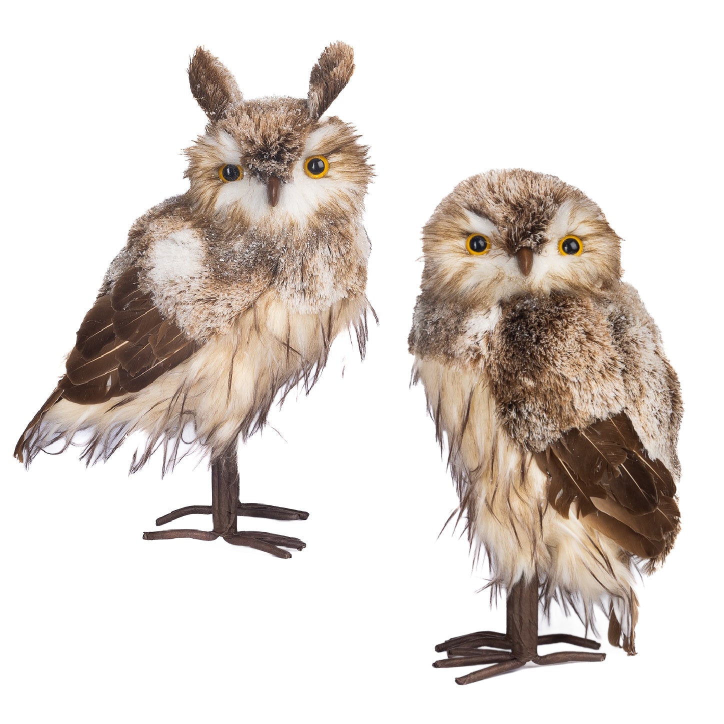 Goodwill Belgium Enchanted Forest Owl Couple