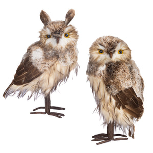 Goodwill Belgium Enchanted Forest Owl Couple