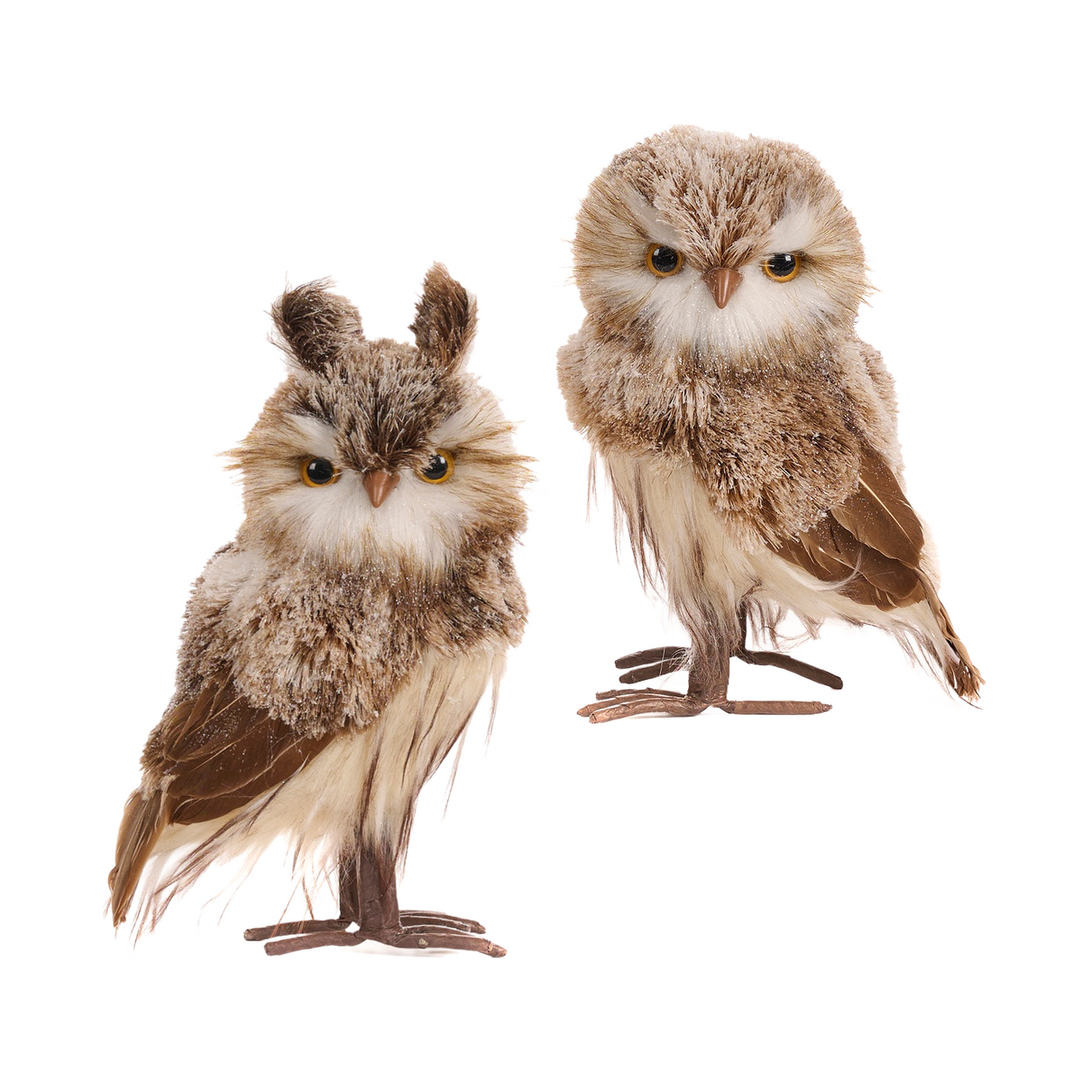 Goodwill Belgium Enchanted Forest Owls