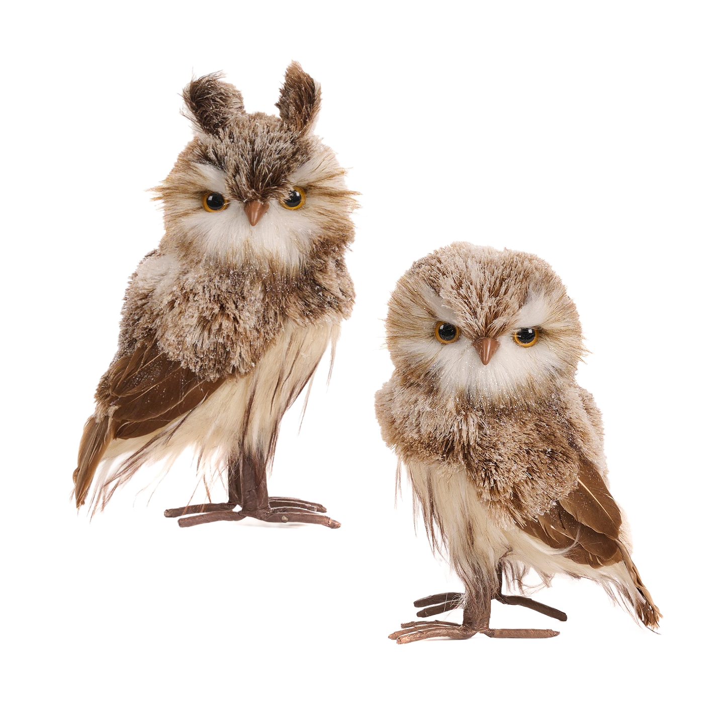 Goodwill Belgium Enchanted Forest Owls