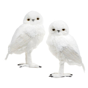 Goodwill Belgium Furry Snowy Owl XL Couple