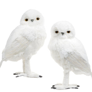 Goodwill Belgium Furry Snowy Owl XL Couple