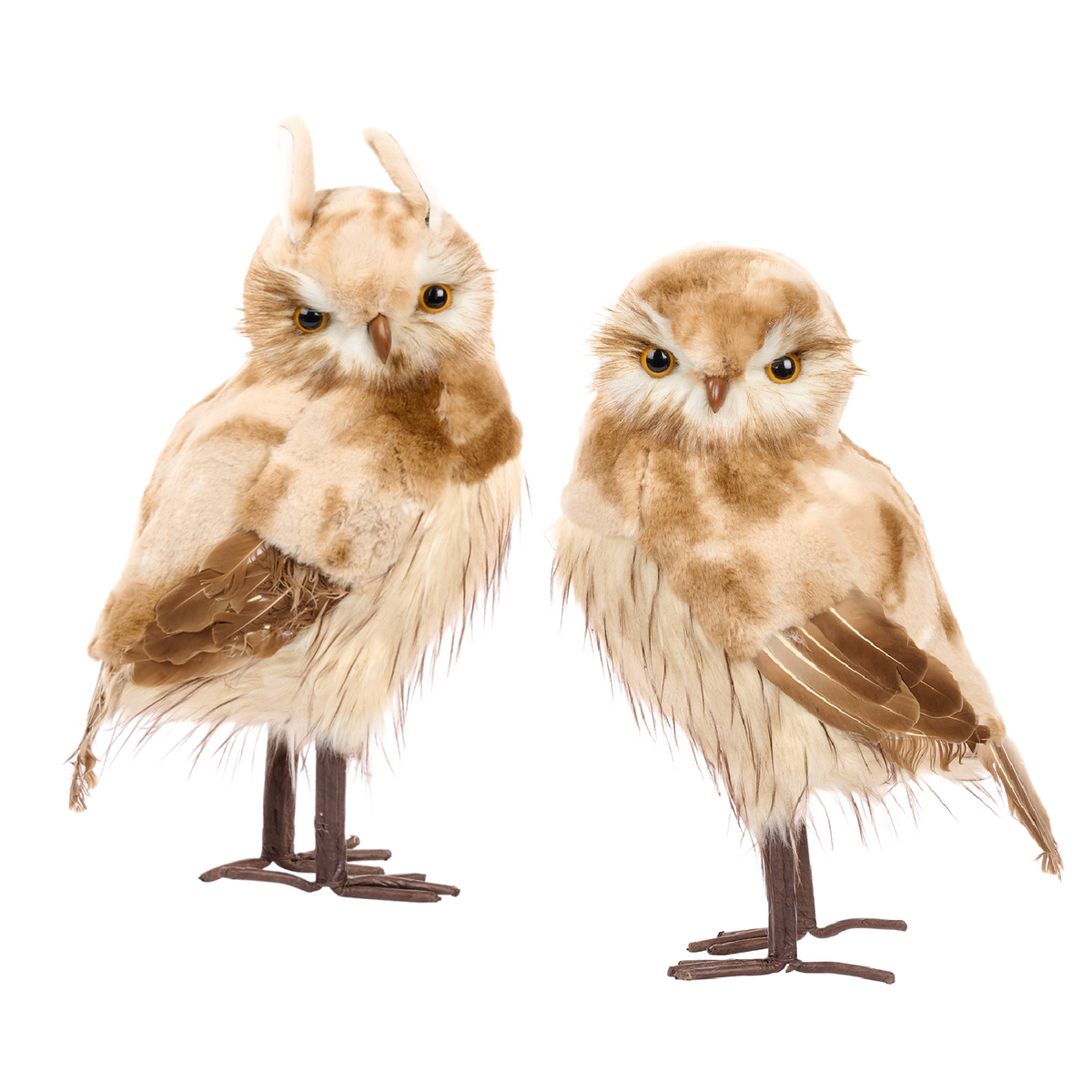 Goodwill Belgium Golden Chestnut Owls XL
