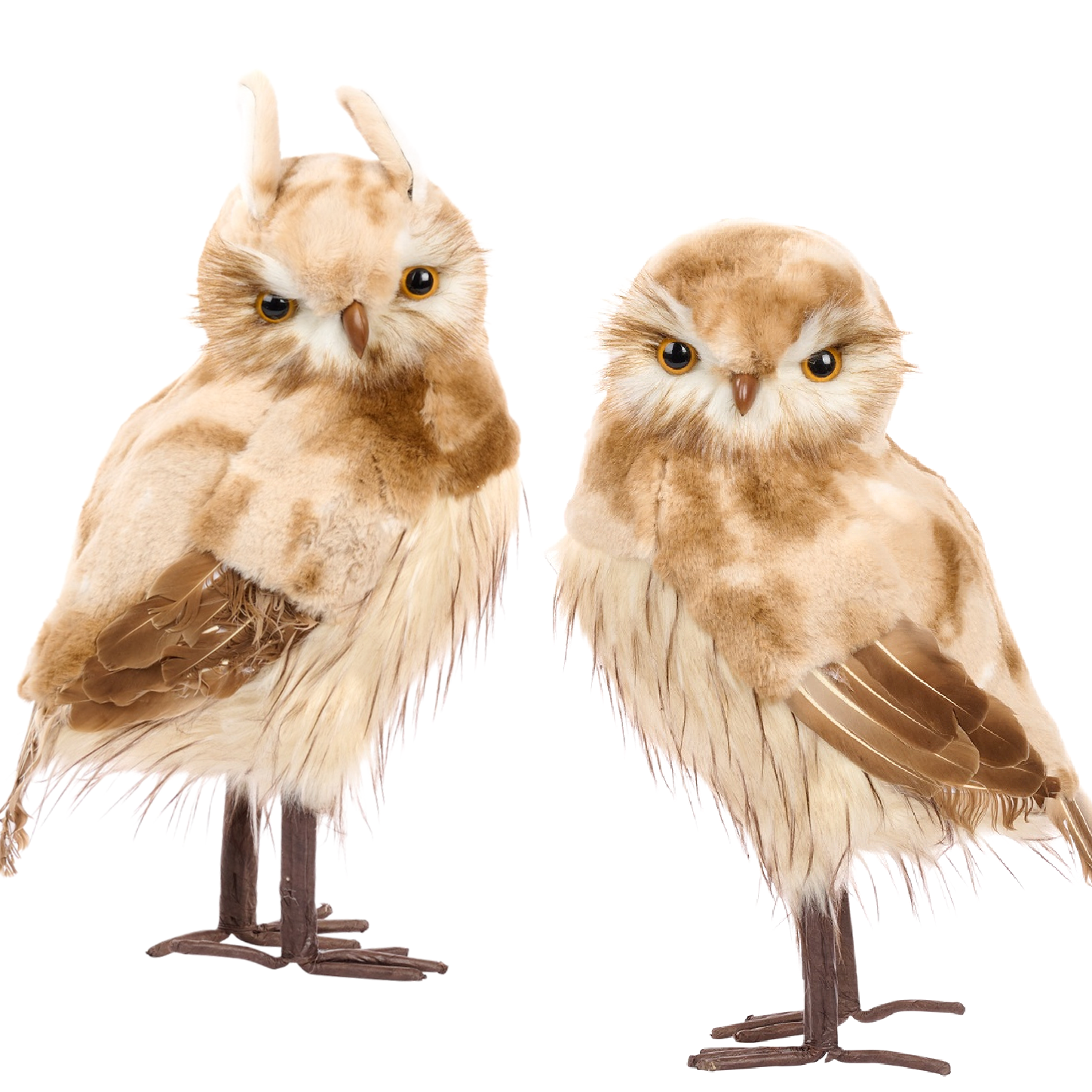 Goodwill Belgium Golden Chestnut Owls XL