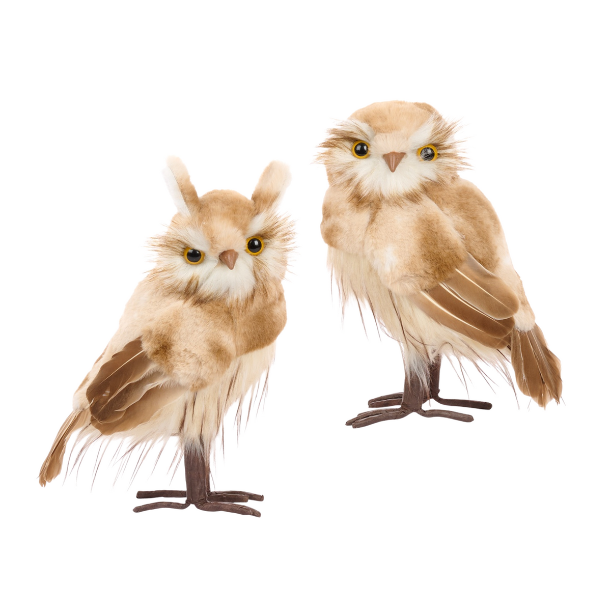 Goodwill Belgium Golden Chestnut Owls Medium