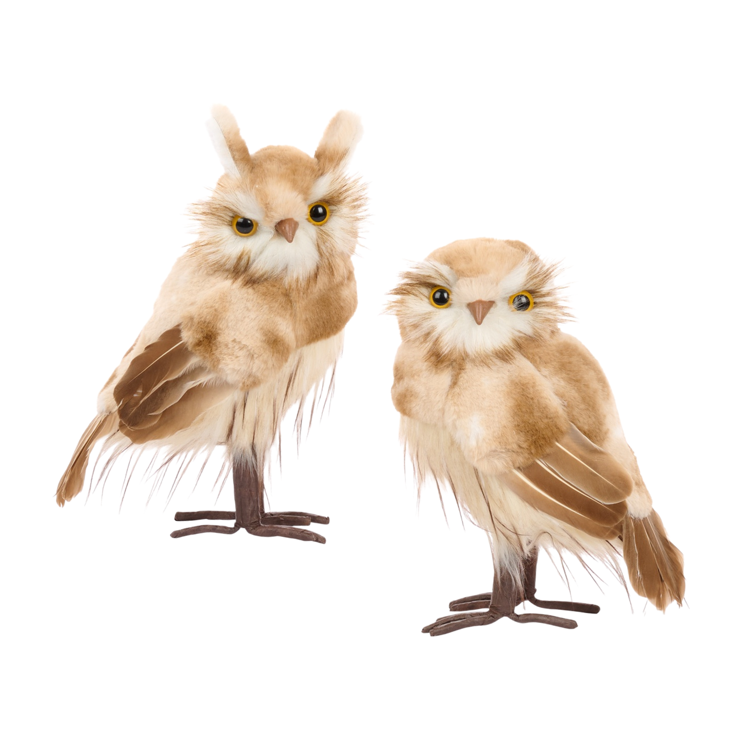 Goodwill Belgium Golden Chestnut Owls Medium