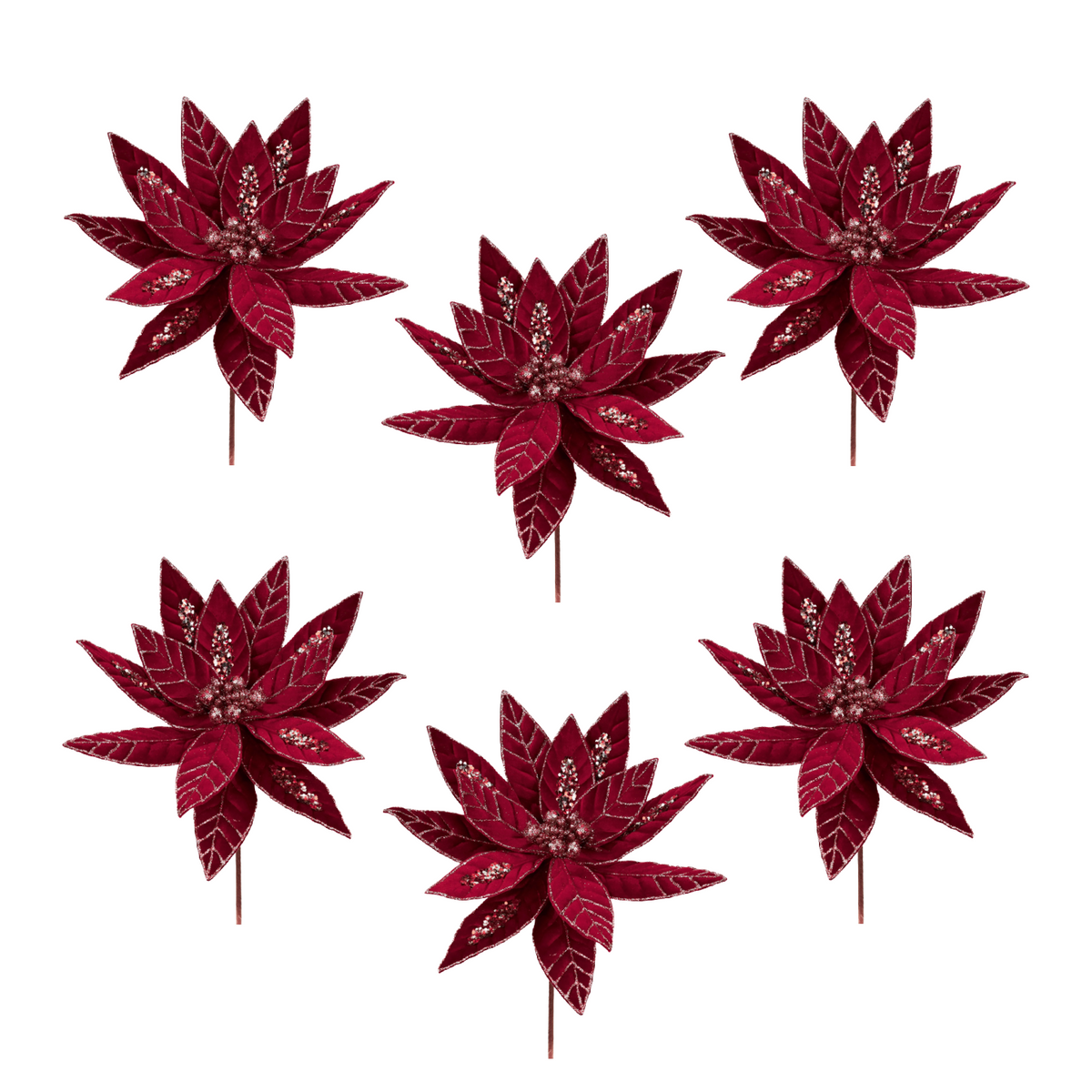 Goodwill Belgium Sparkling Burgundy Champagne Poinsettias