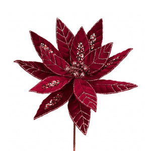 Sparkling Burgundy Christmas Poinsettias