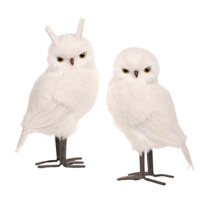 Goodwill Belgium Winter Forest Owl