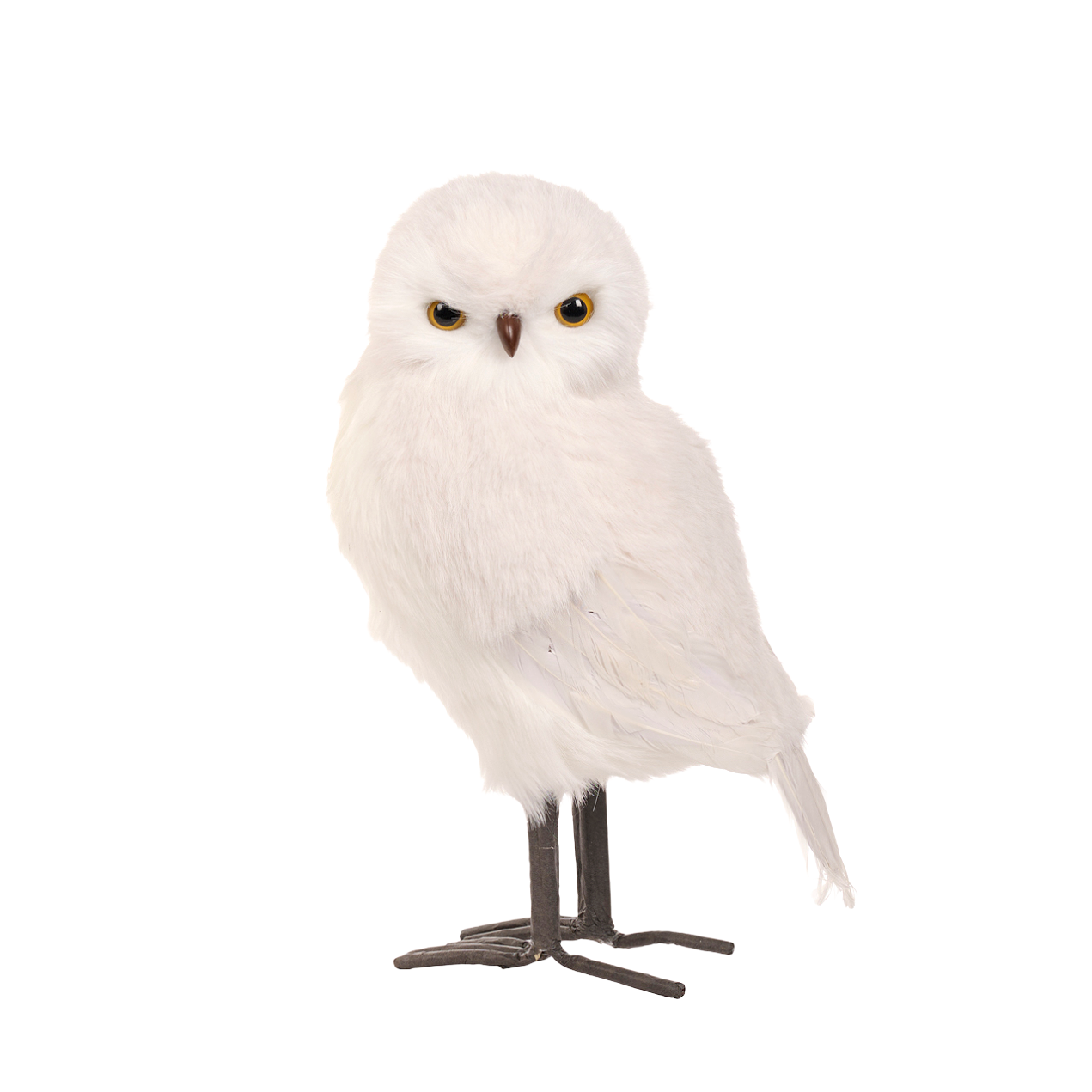 Goodwill Belgium Winter Forest Owl