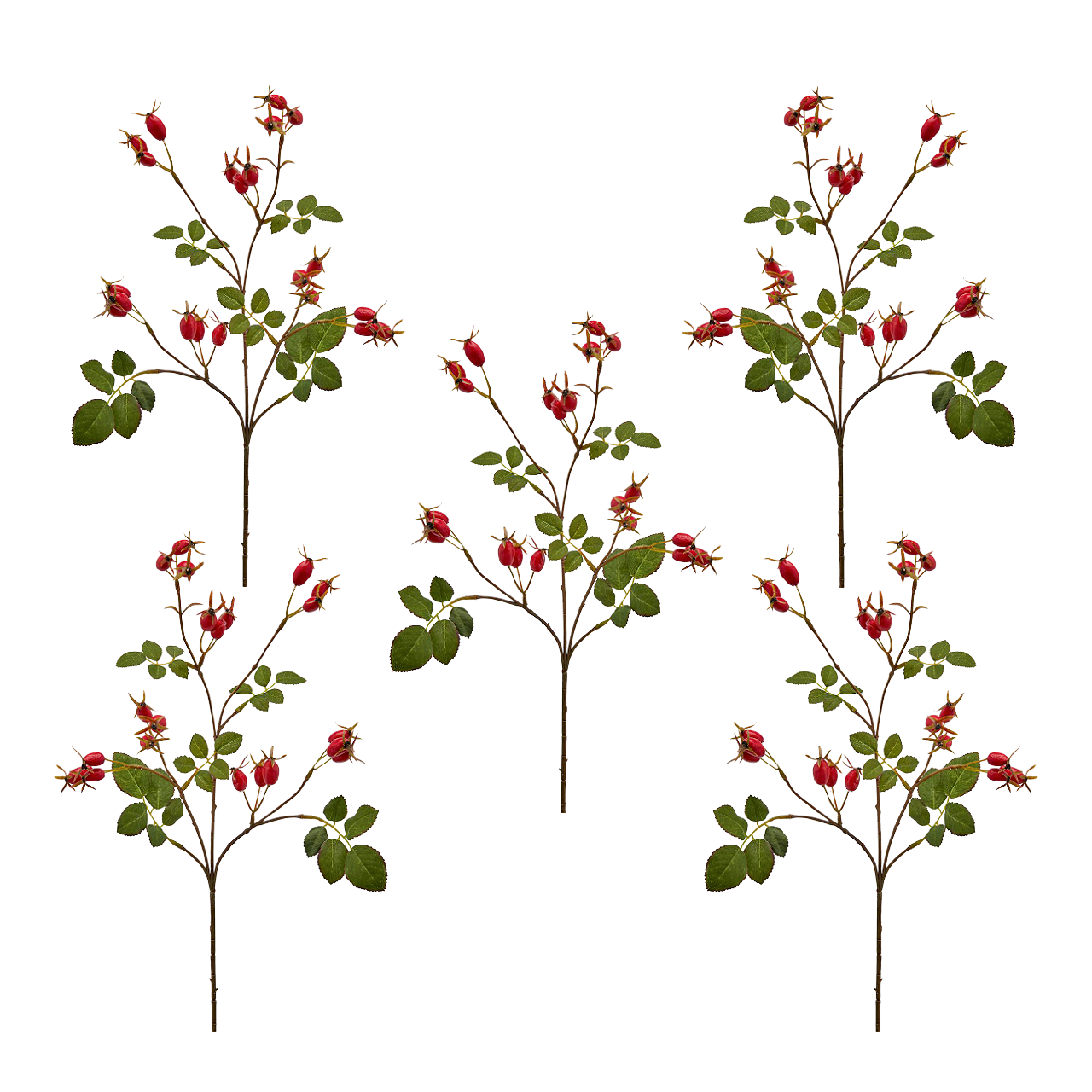 EDG - Enzo De Gasperi Rose Hip Christmas Floral Decor