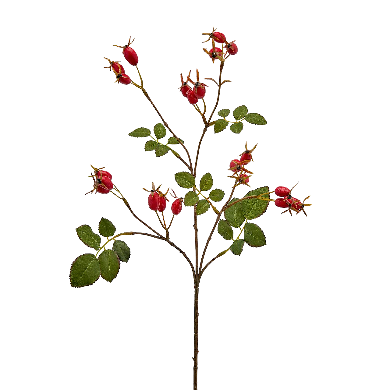 EDG - Enzo De Gasperi Rose Hip Christmas Floral Decor