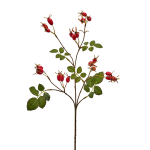 EDG - Enzo De Gasperi Rose Hip Christmas Floral Decor