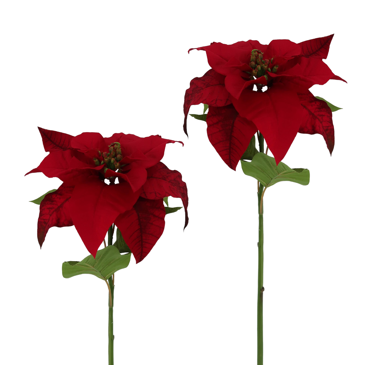Winward Silks Winter Velvet Poinsettia
