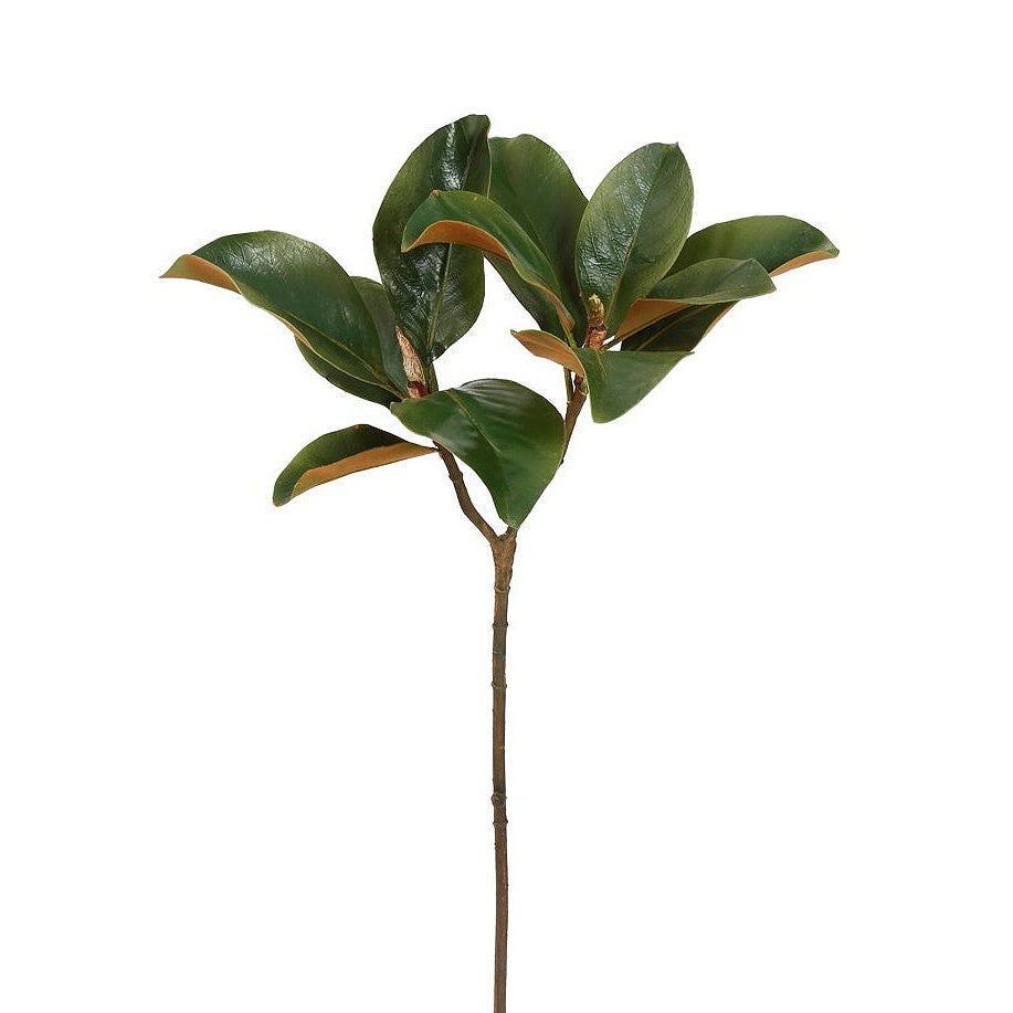 Winward Silks Winward Estate Magnolia Foliage