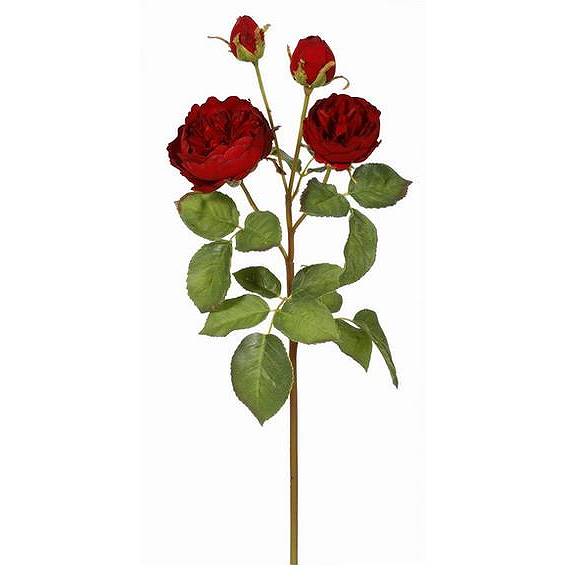 Winward Silks Rose English Cathedral Stem