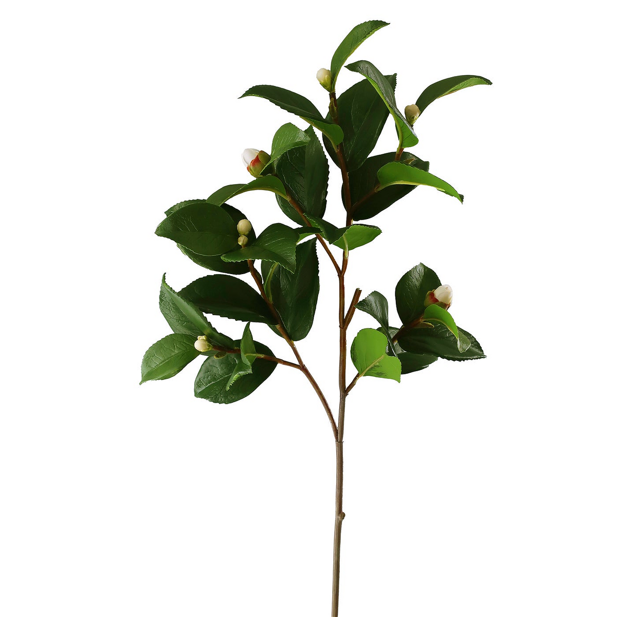 Winward Silks Camelia Bud Foliage