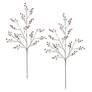 Winward Sparkling Rosehip Branch