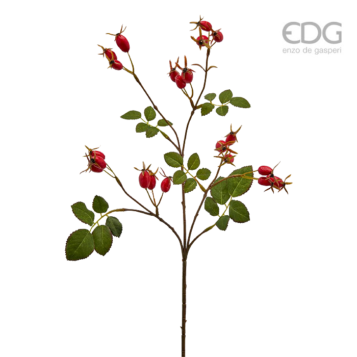 EDG - Enzo De Gasperi Rose Hip Christmas Floral Decor