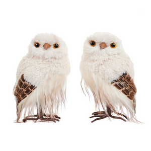 Owl Decorations