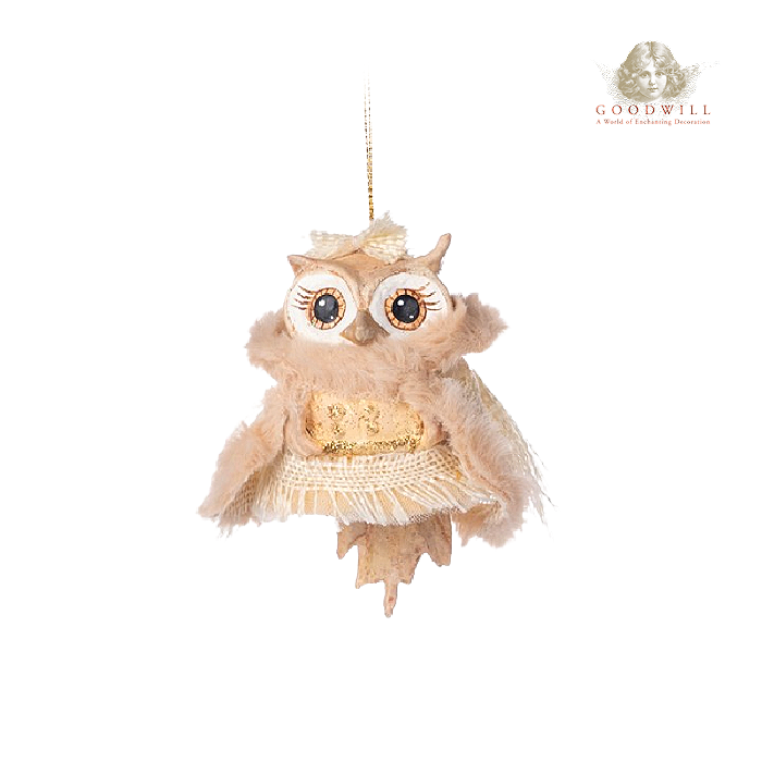 Winter Fairies Owl Ornament 4.75"